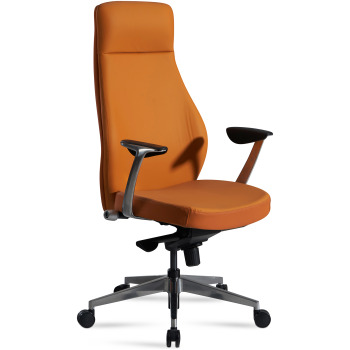 Scaun Director Ergonomic cu Tapițerie Luxuriantă și Cotiere din Aluminiu